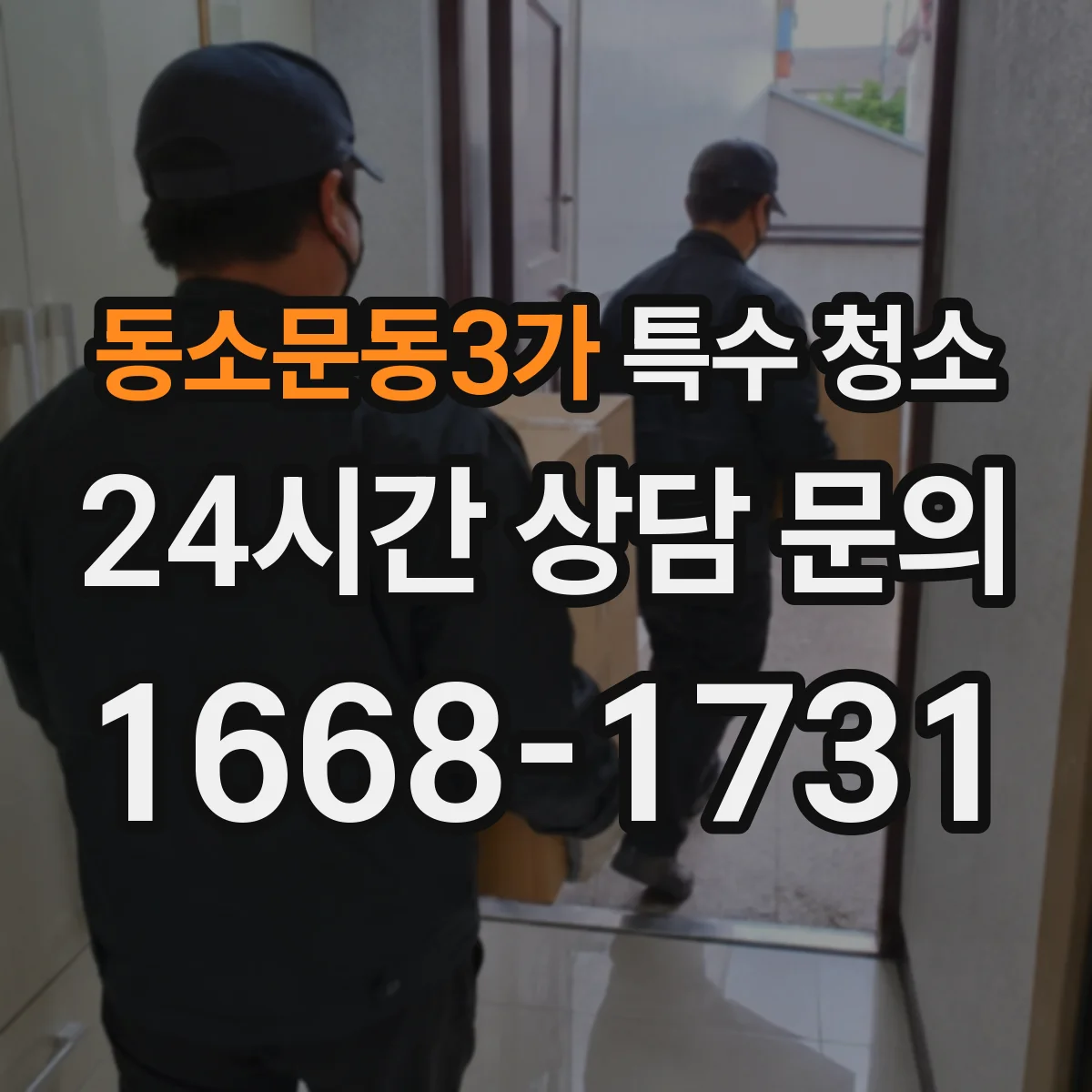 동소문동3가 특수 청소