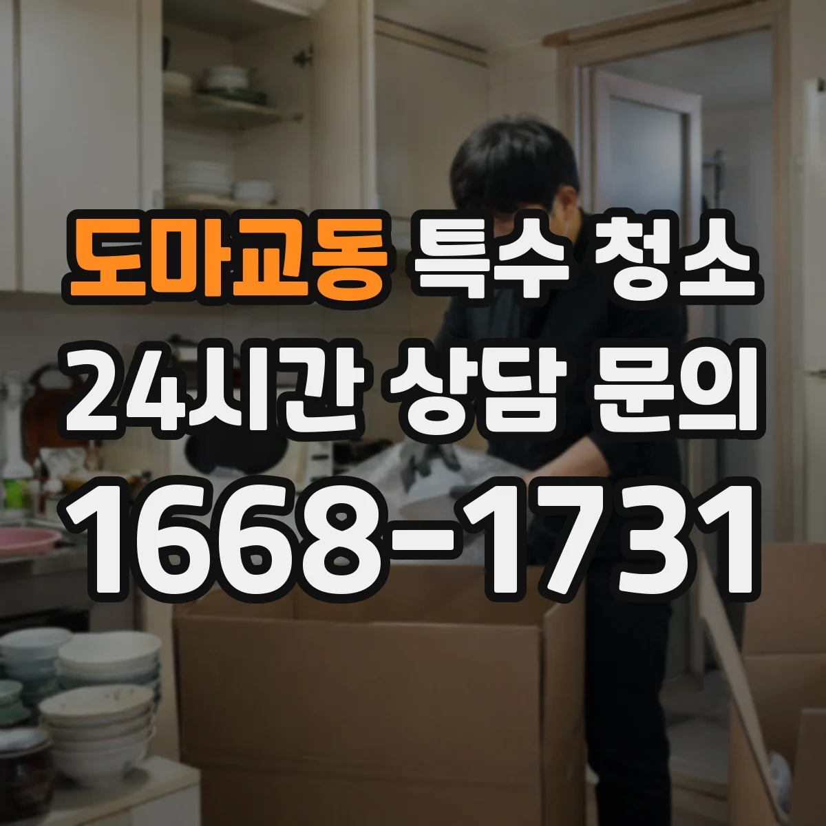 도마교동 특수 청소