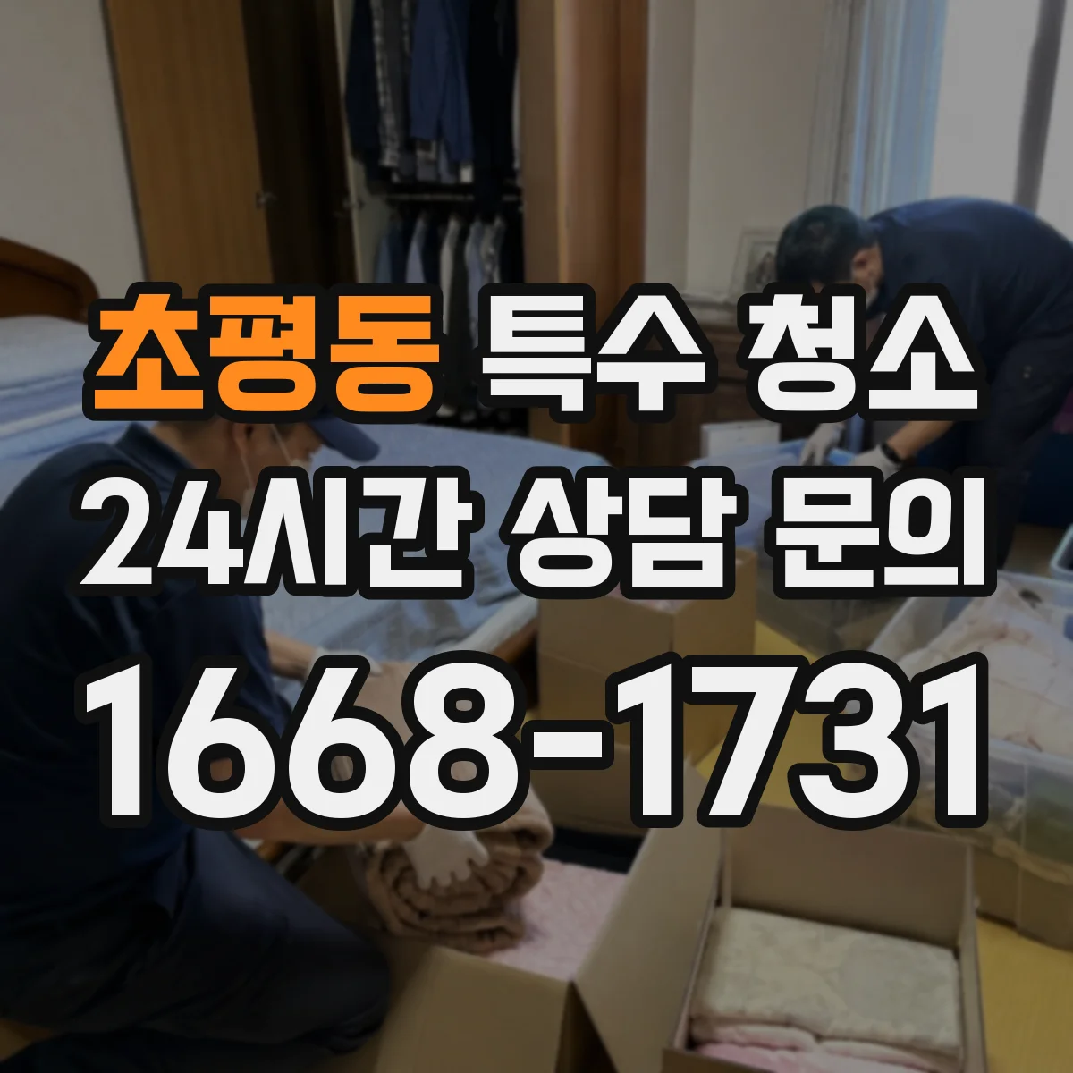 초평동 특수 청소