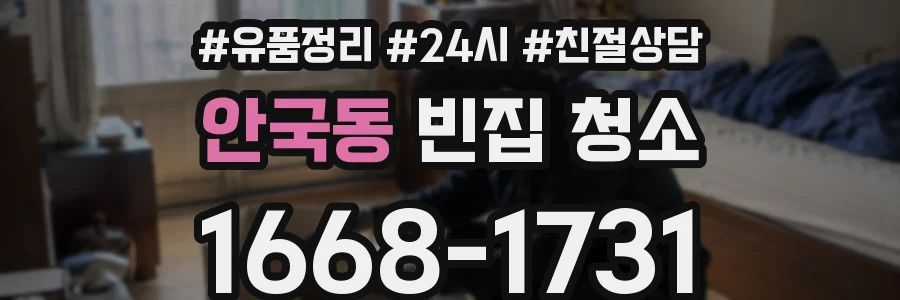 안국동 빈집 청소