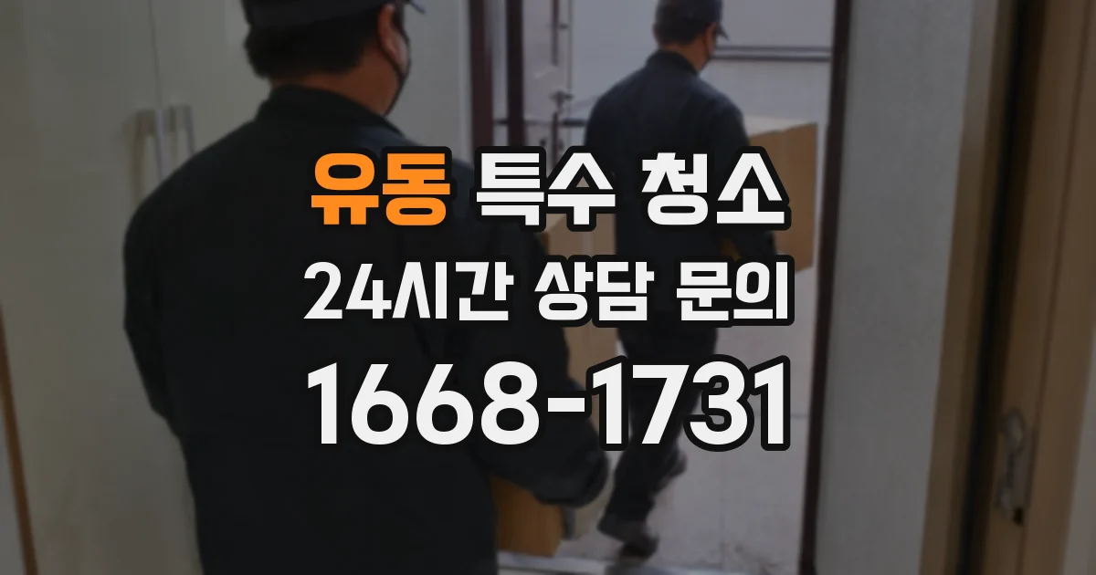 유동 특수 청소