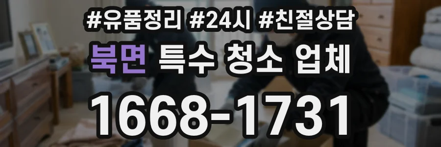 북면 특수 청소 업체