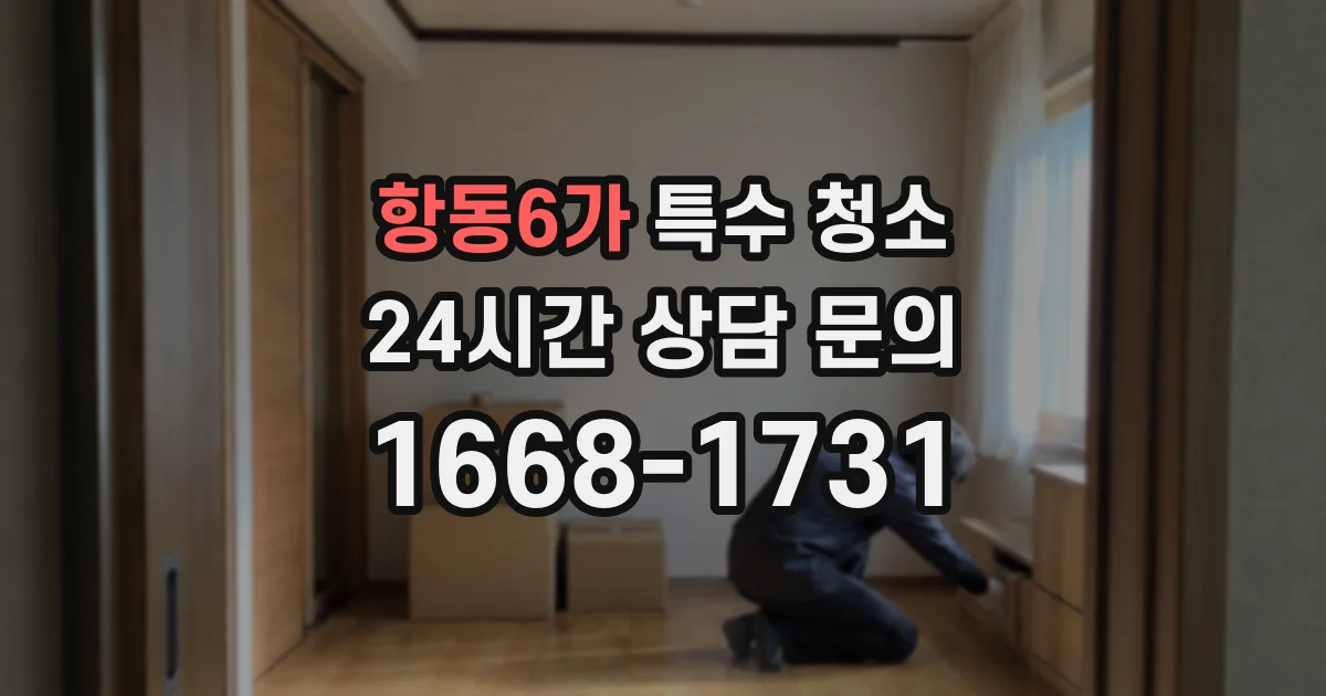 항동6가 특수 청소