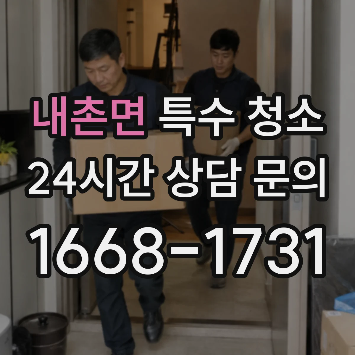 내촌면 특수 청소