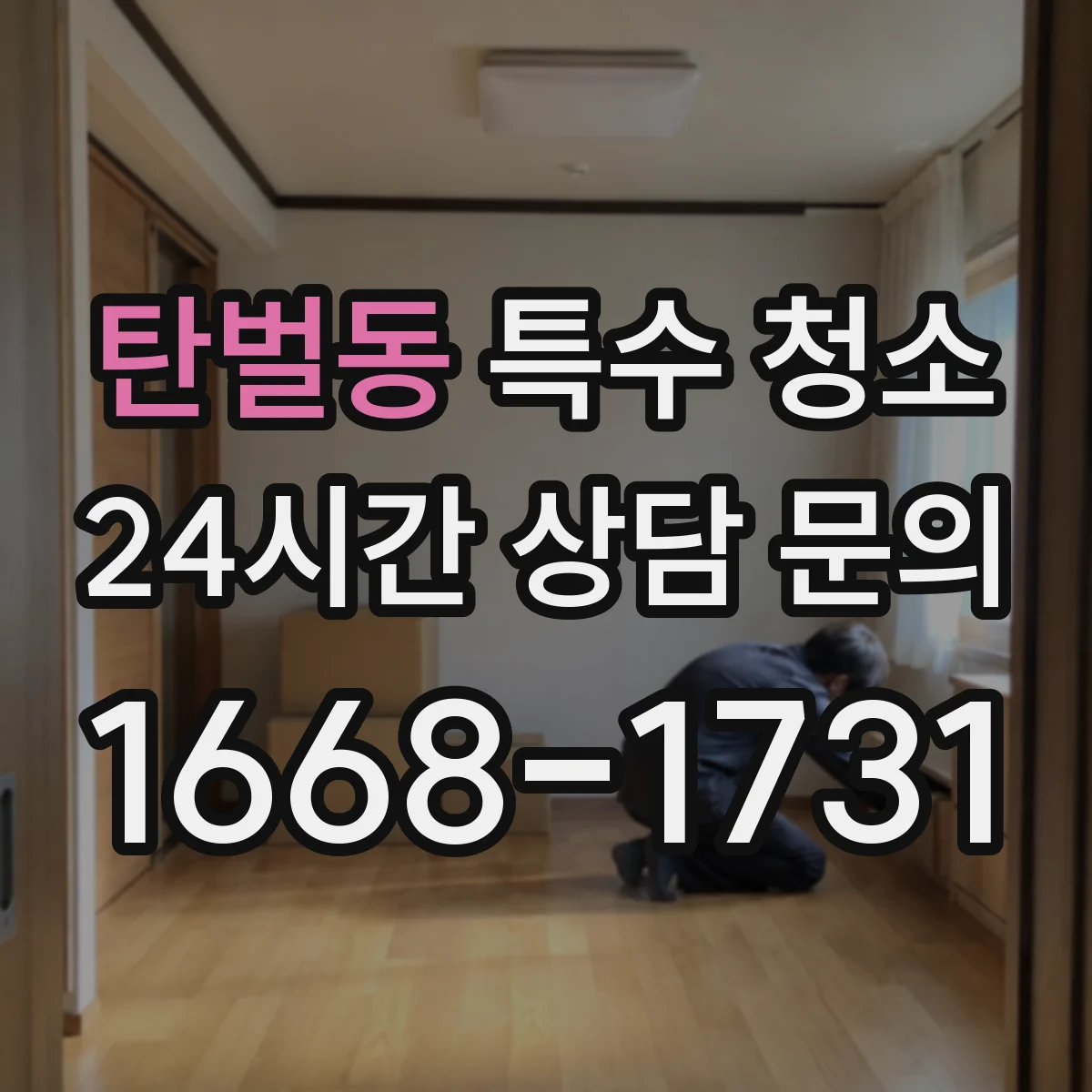탄벌동 특수 청소