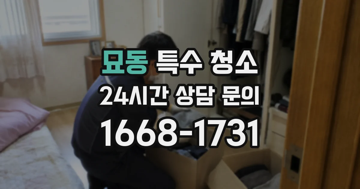 묘동 특수 청소