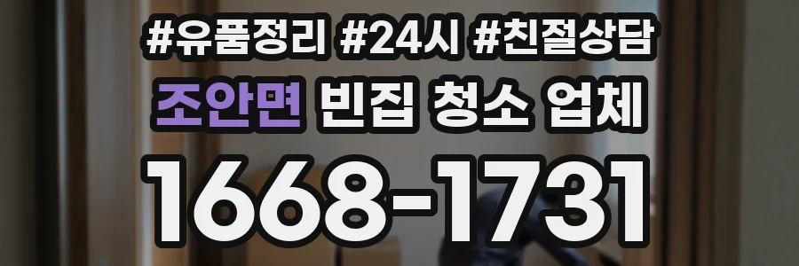 조안면 빈집 청소 업체
