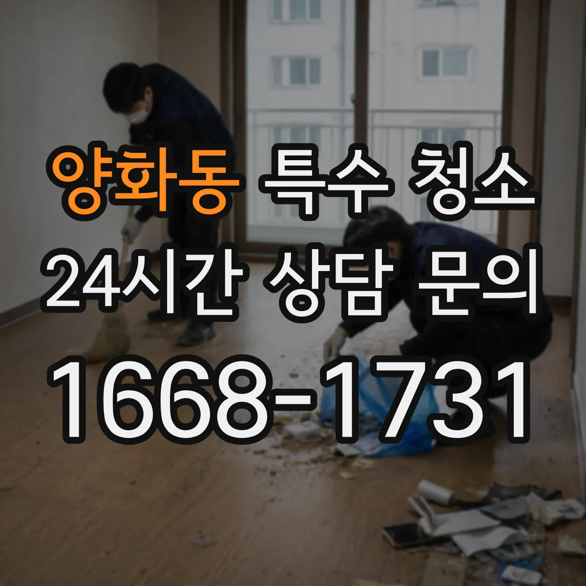 양화동 특수 청소