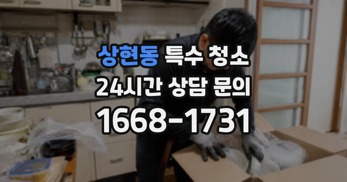 상현동 특수 청소