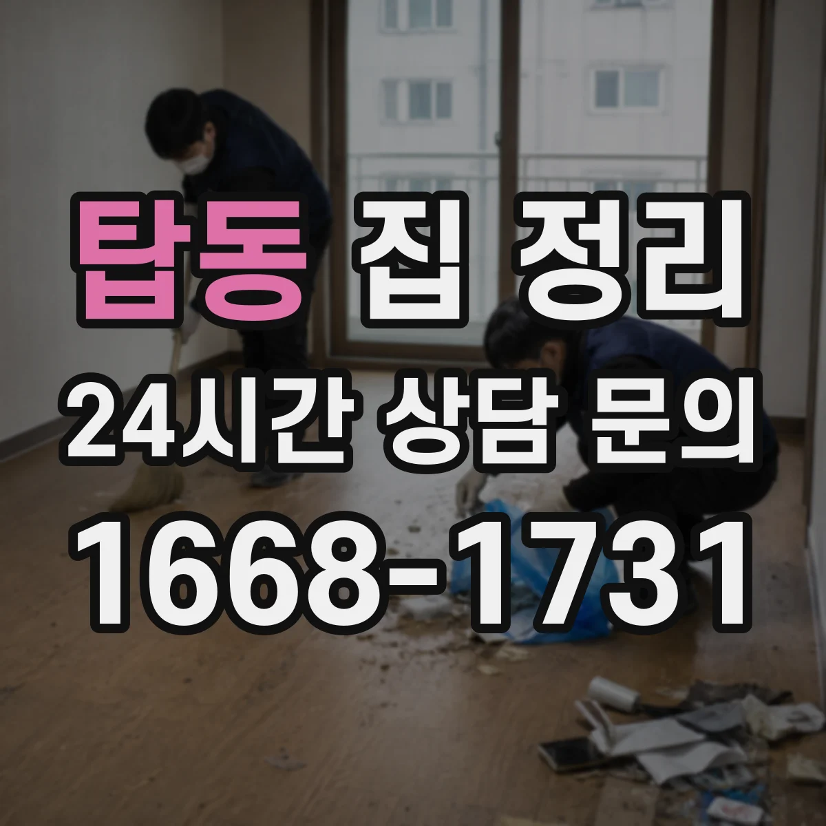 탑동 집 정리