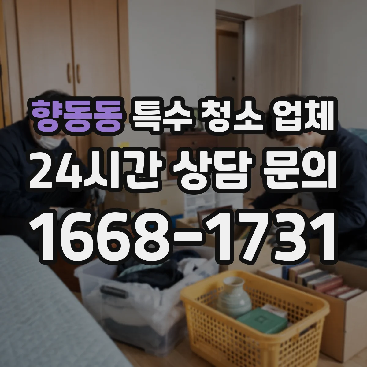 향동동 특수 청소 업체