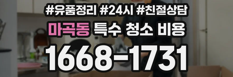 마곡동 특수 청소 비용