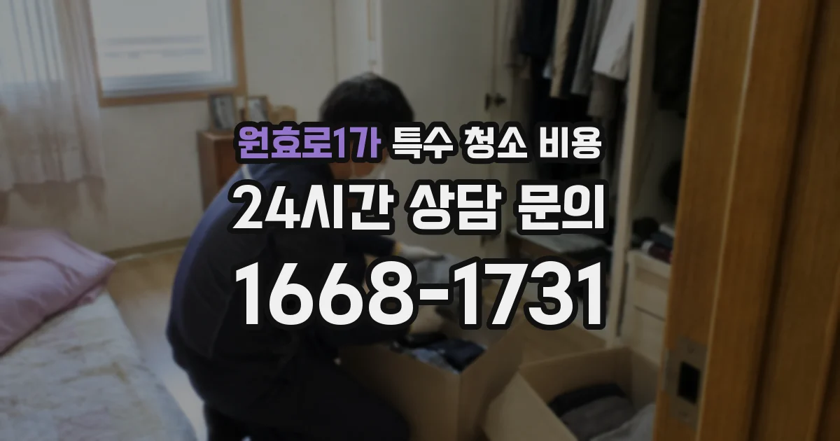 원효로1가 특수 청소 비용