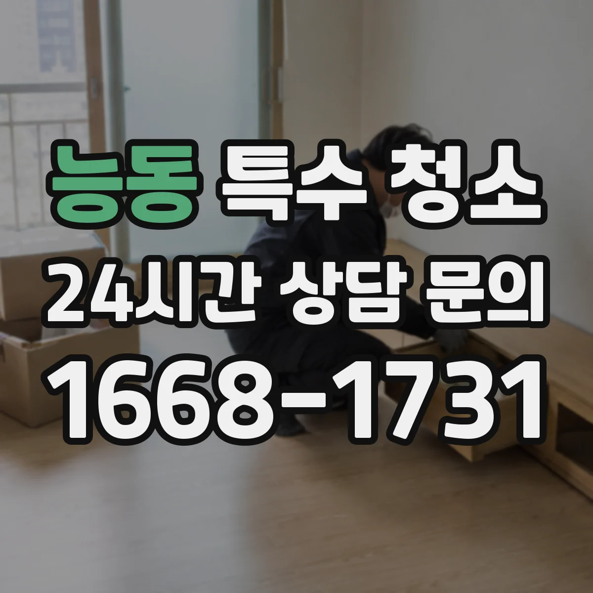 능동 특수 청소