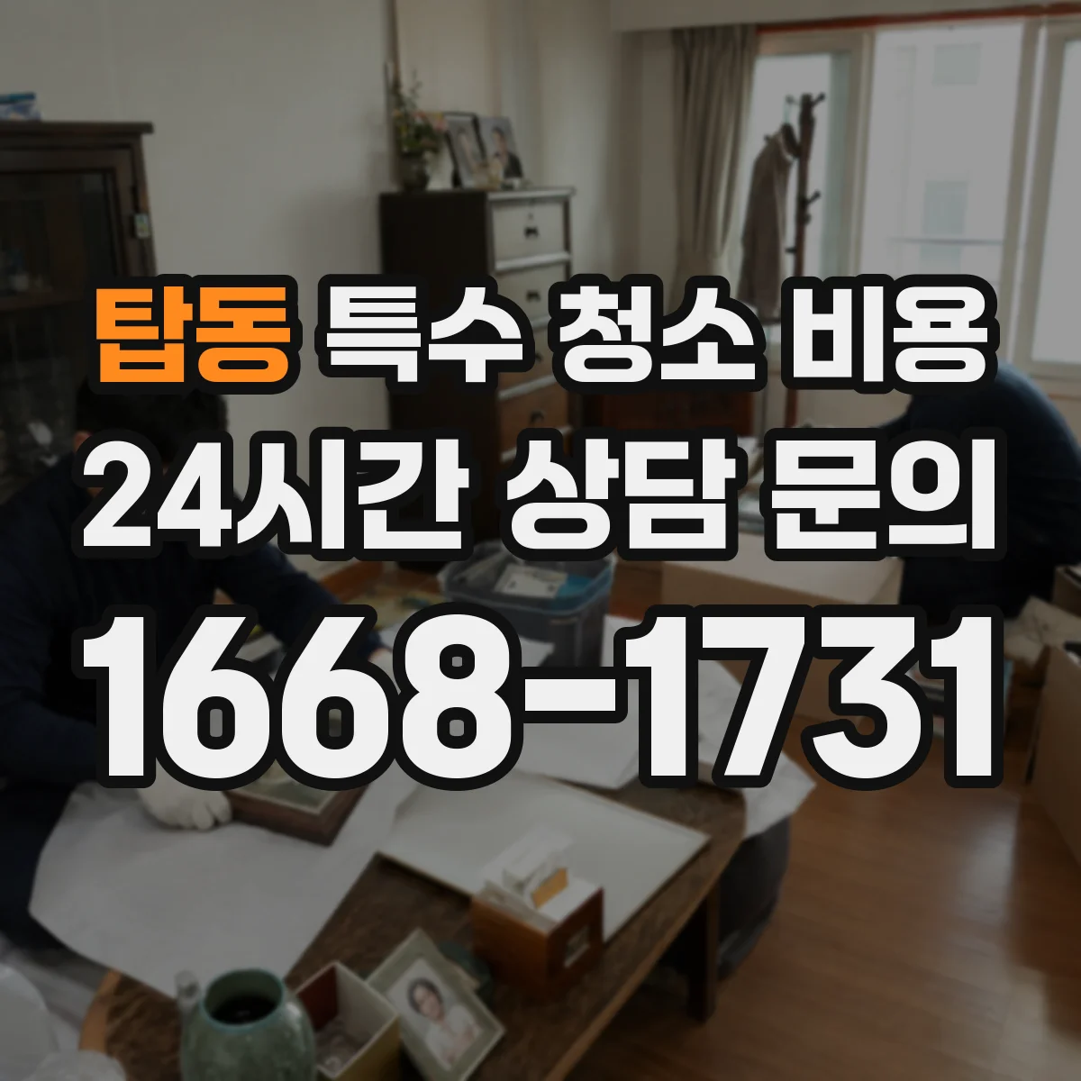 탑동 특수 청소 비용
