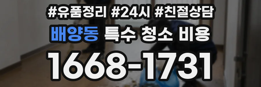 배양동 특수 청소 비용