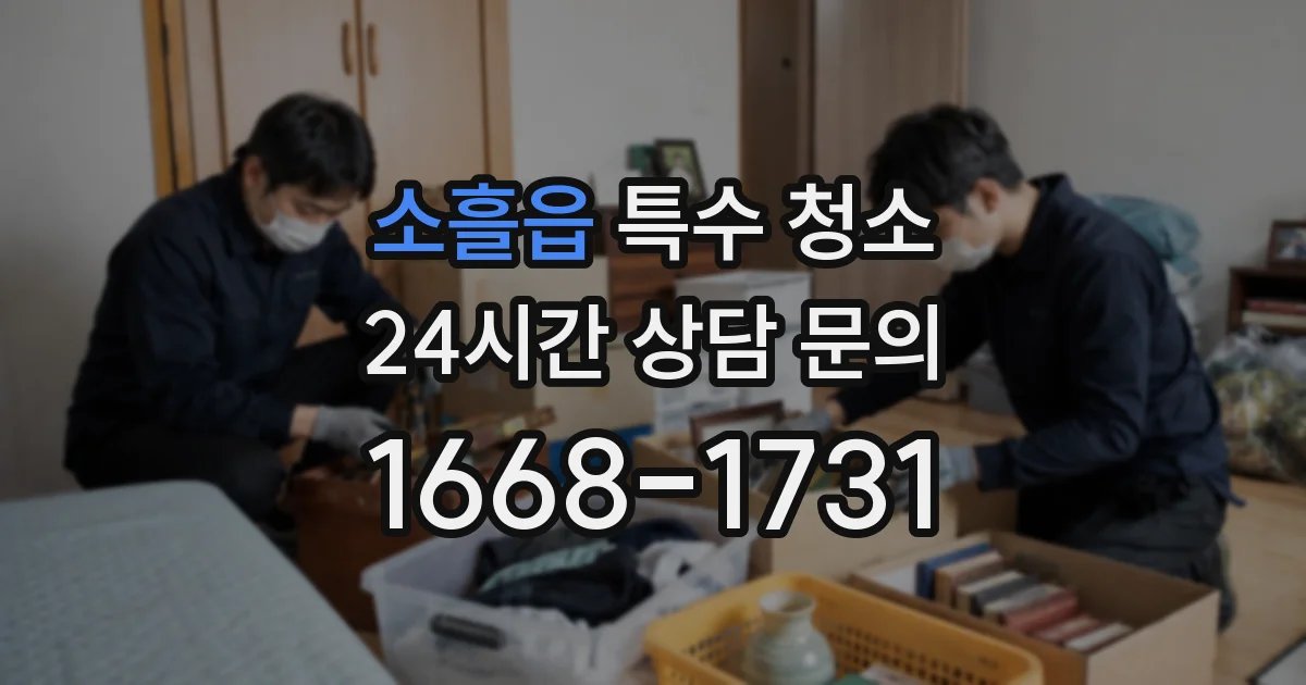소흘읍 특수 청소