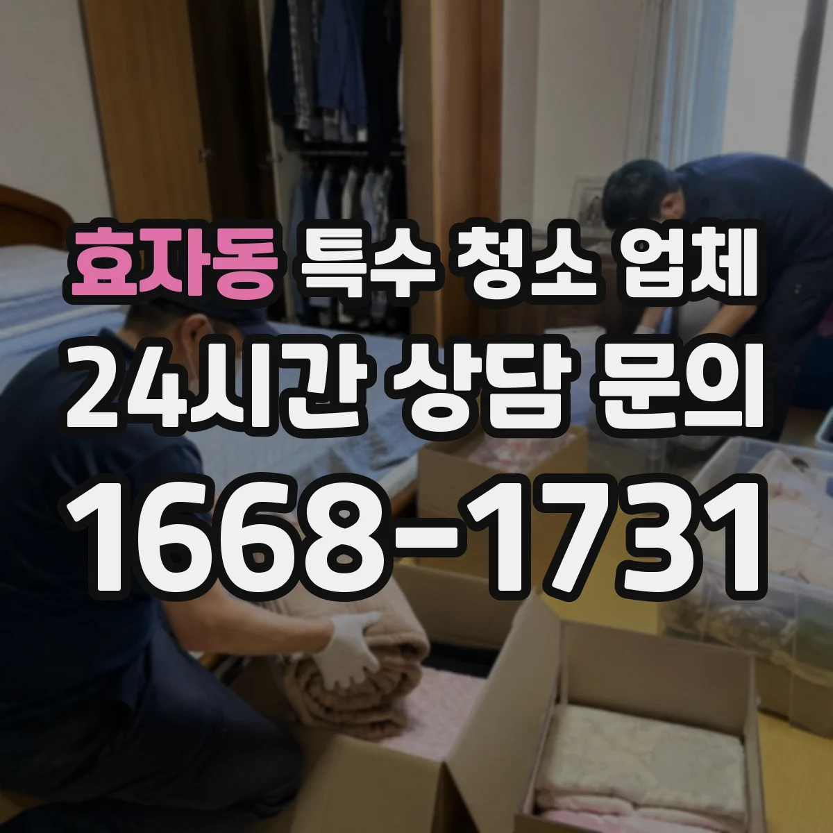 효자동 특수 청소 업체