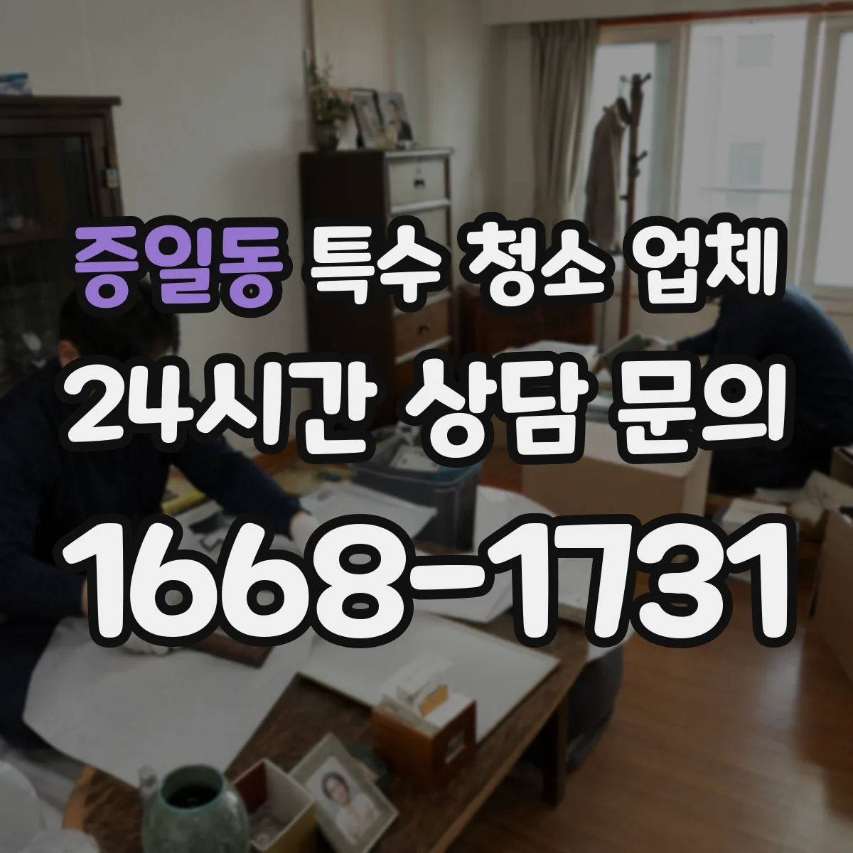 증일동 특수 청소 업체