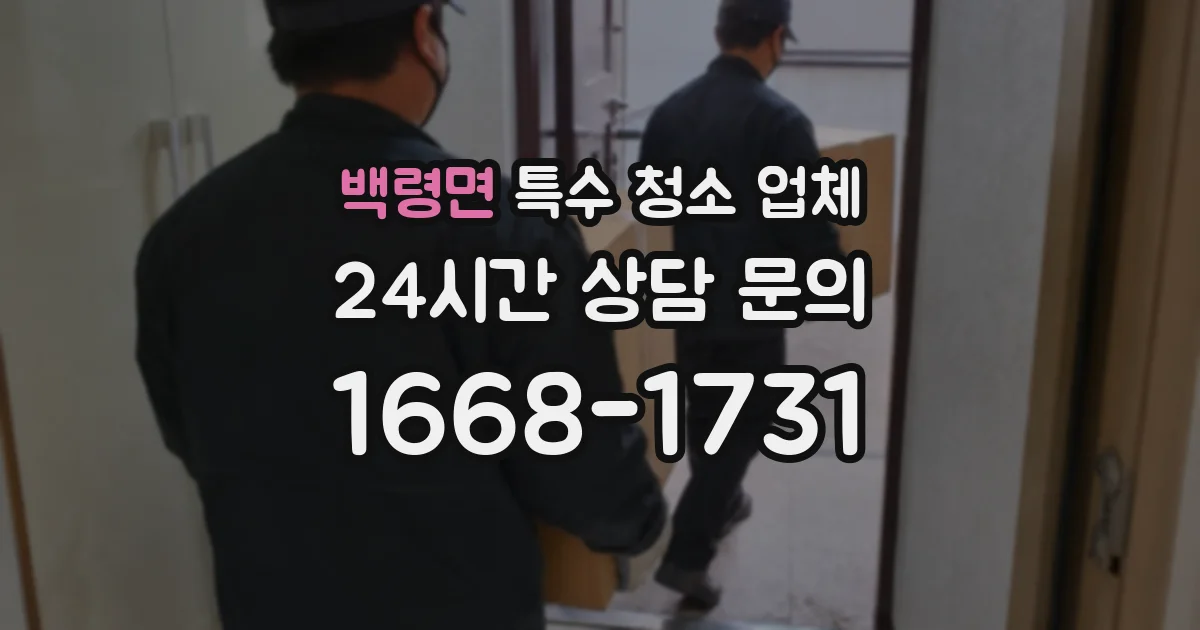 백령면 특수 청소 업체