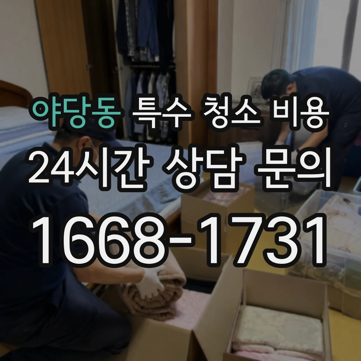 야당동 특수 청소 비용
