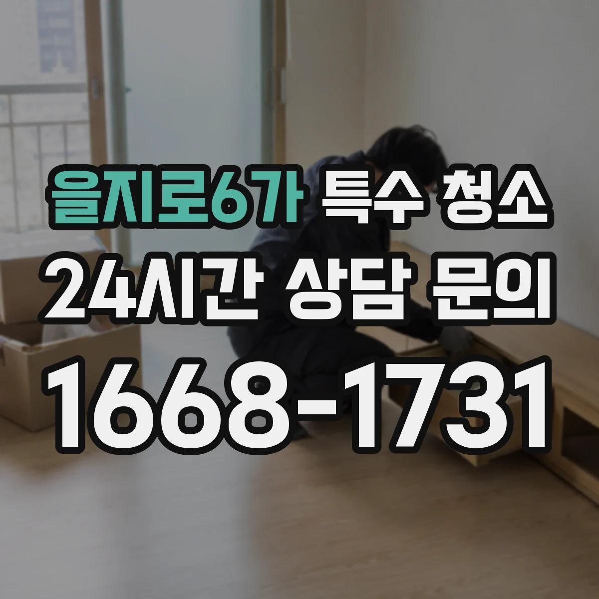 을지로6가 특수 청소