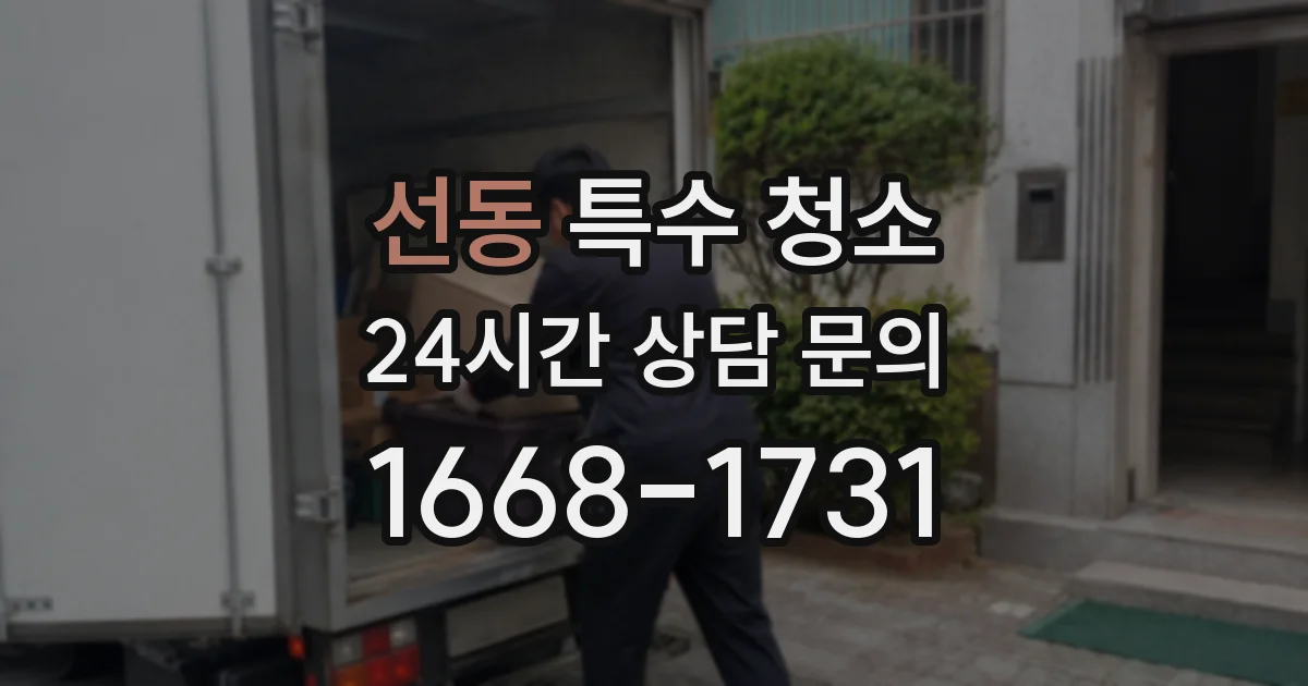 선동 특수 청소