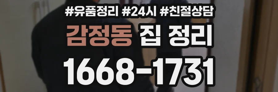 감정동 집 정리