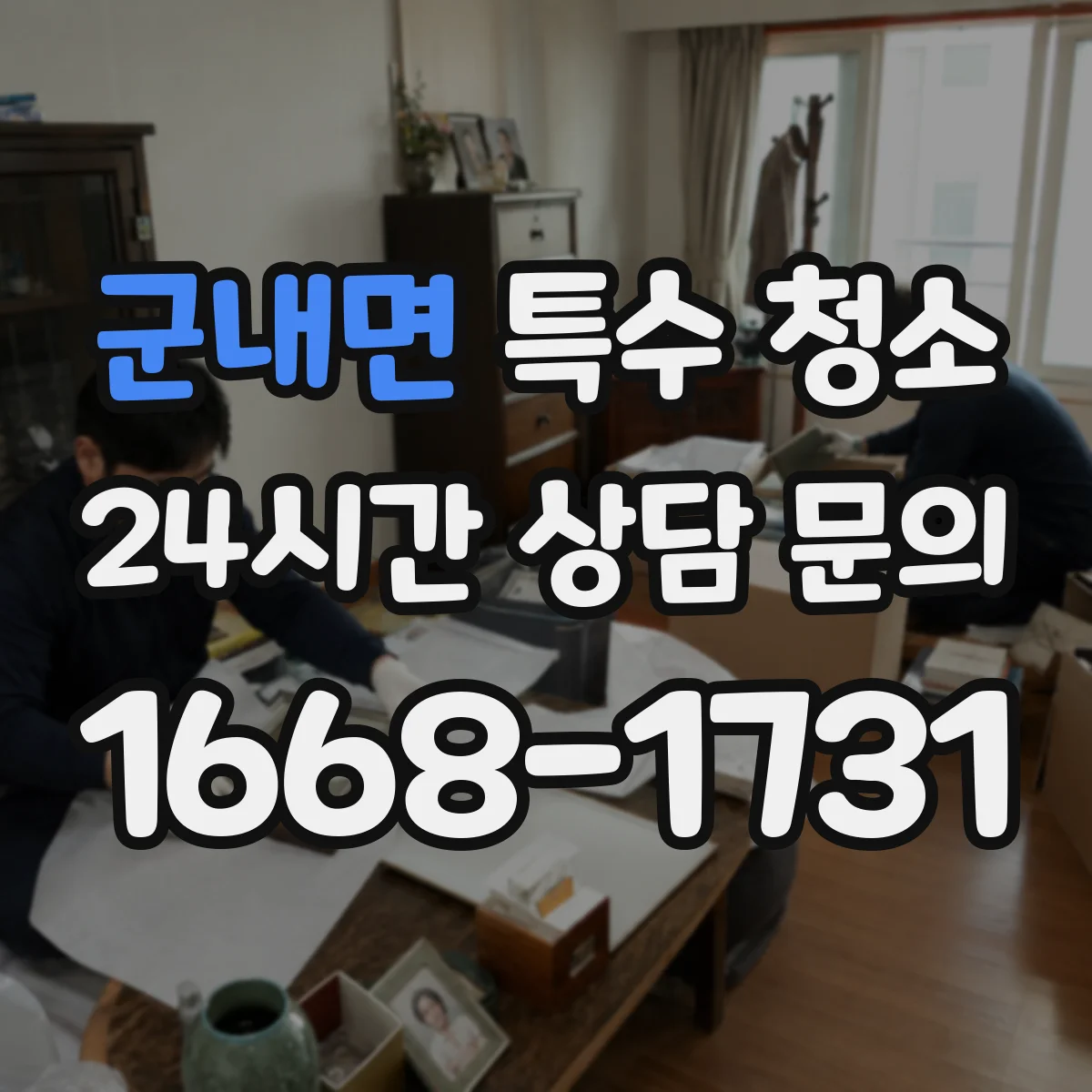 군내면 특수 청소