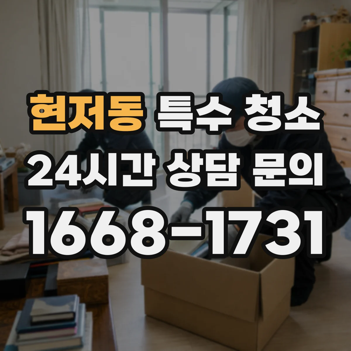 현저동 특수 청소