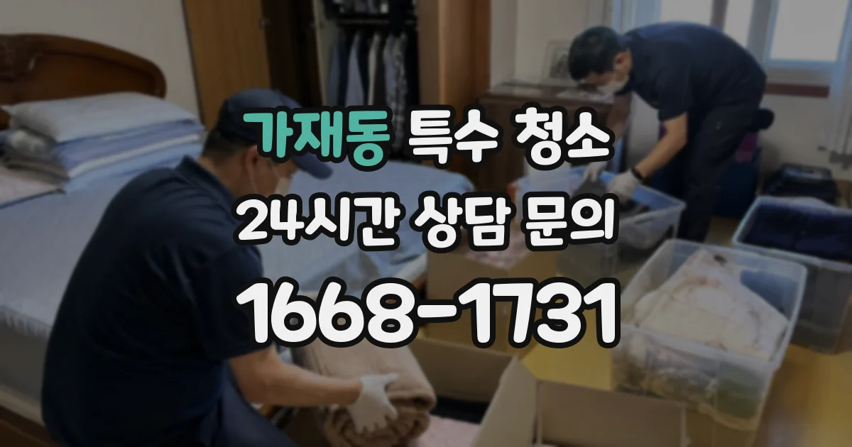 가재동 특수 청소