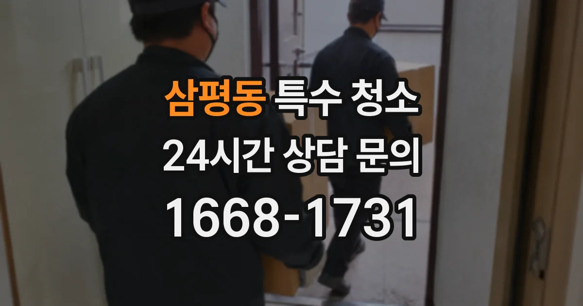 삼평동 특수 청소