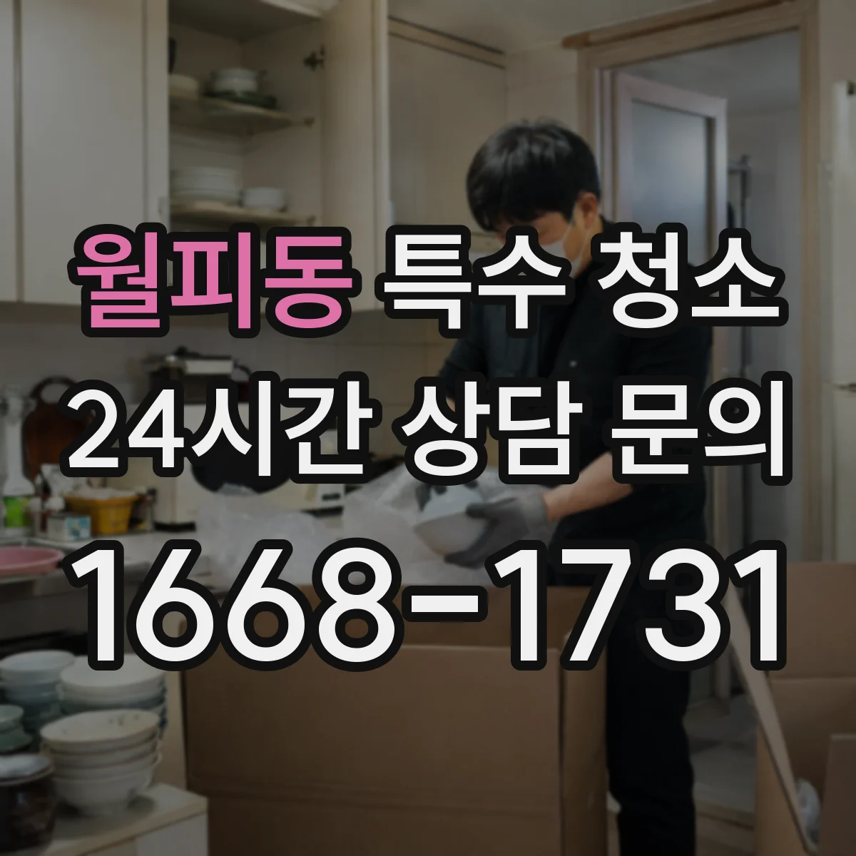월피동 특수 청소