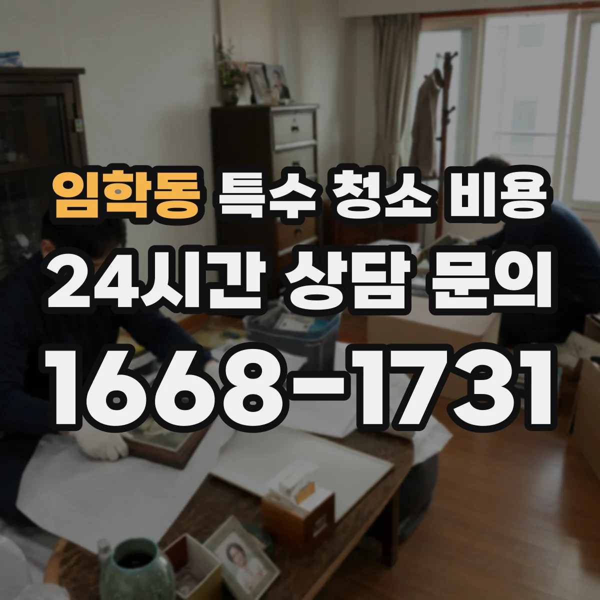 임학동 특수 청소 비용