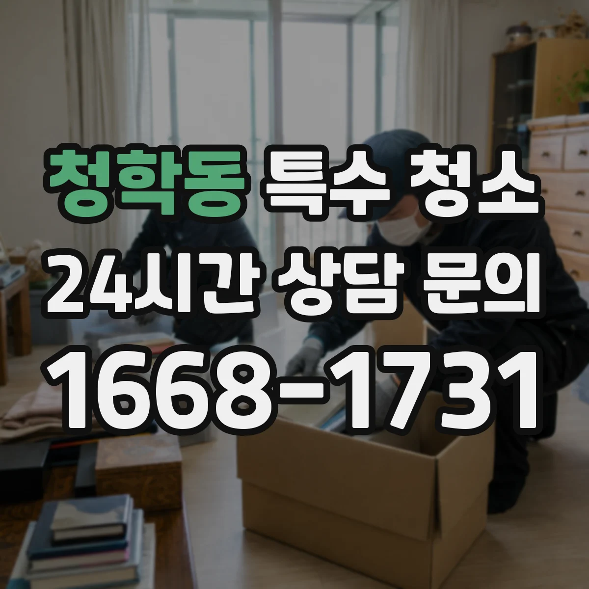 청학동 특수 청소