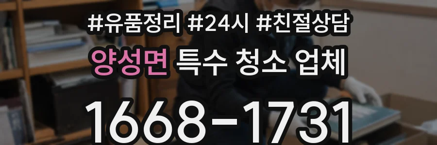 양성면 특수 청소 업체
