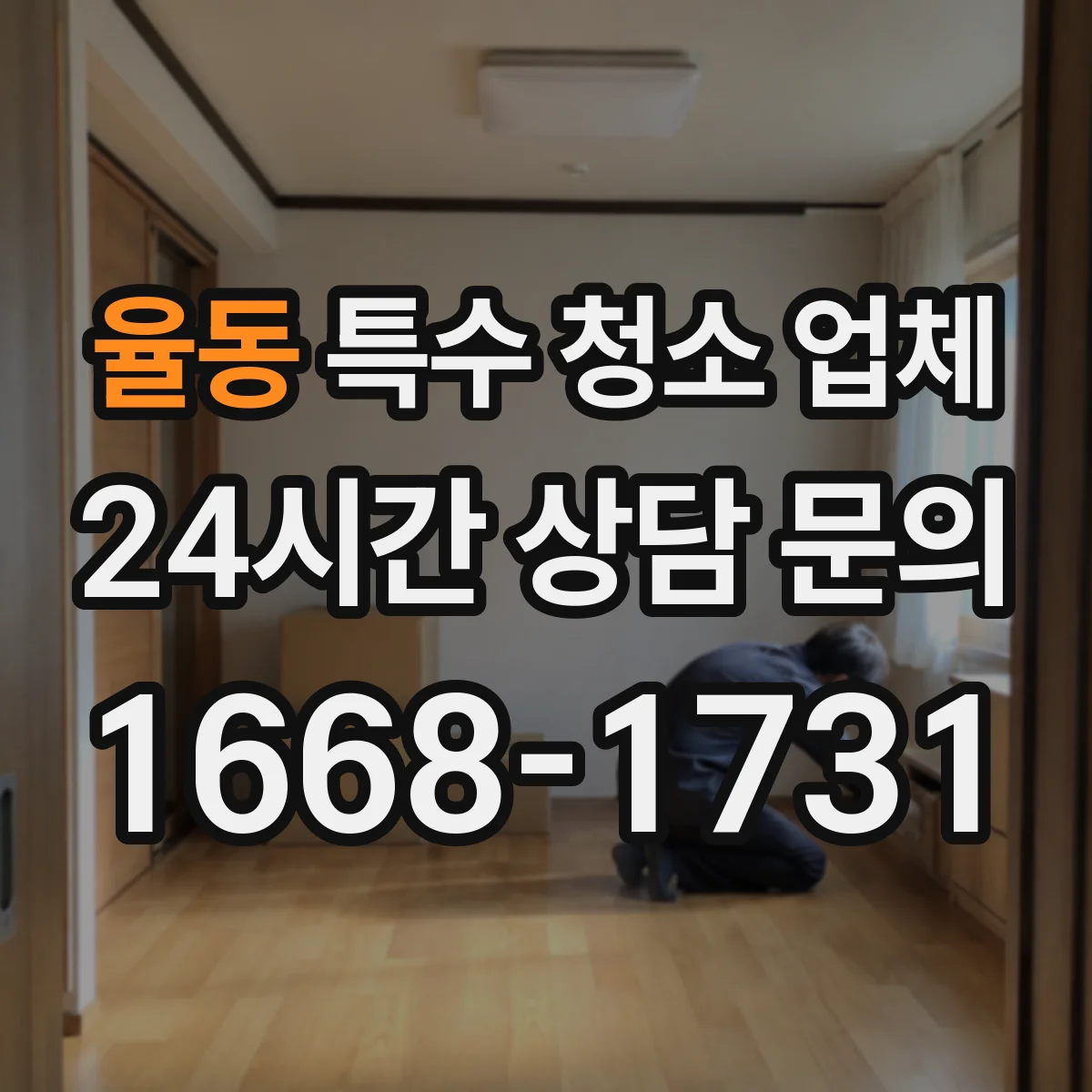 율동 특수 청소 업체
