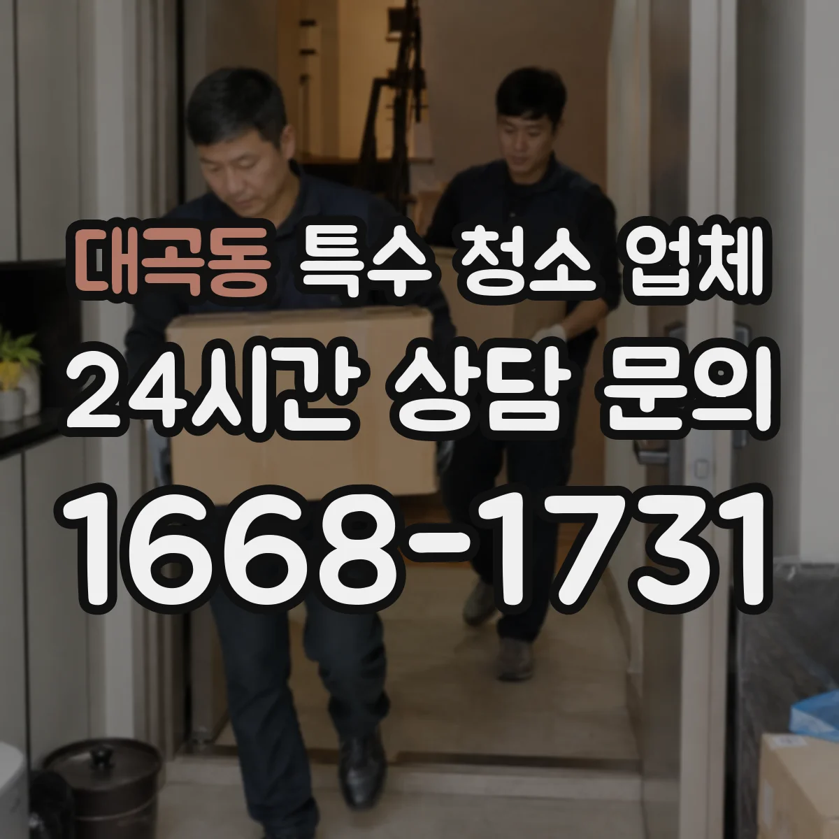 대곡동 특수 청소 업체
