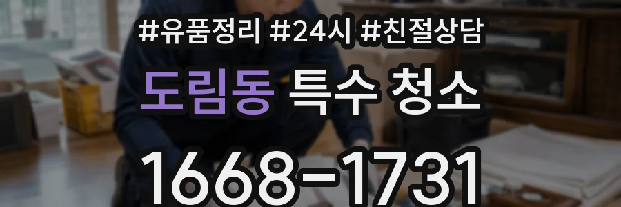 도림동 특수 청소