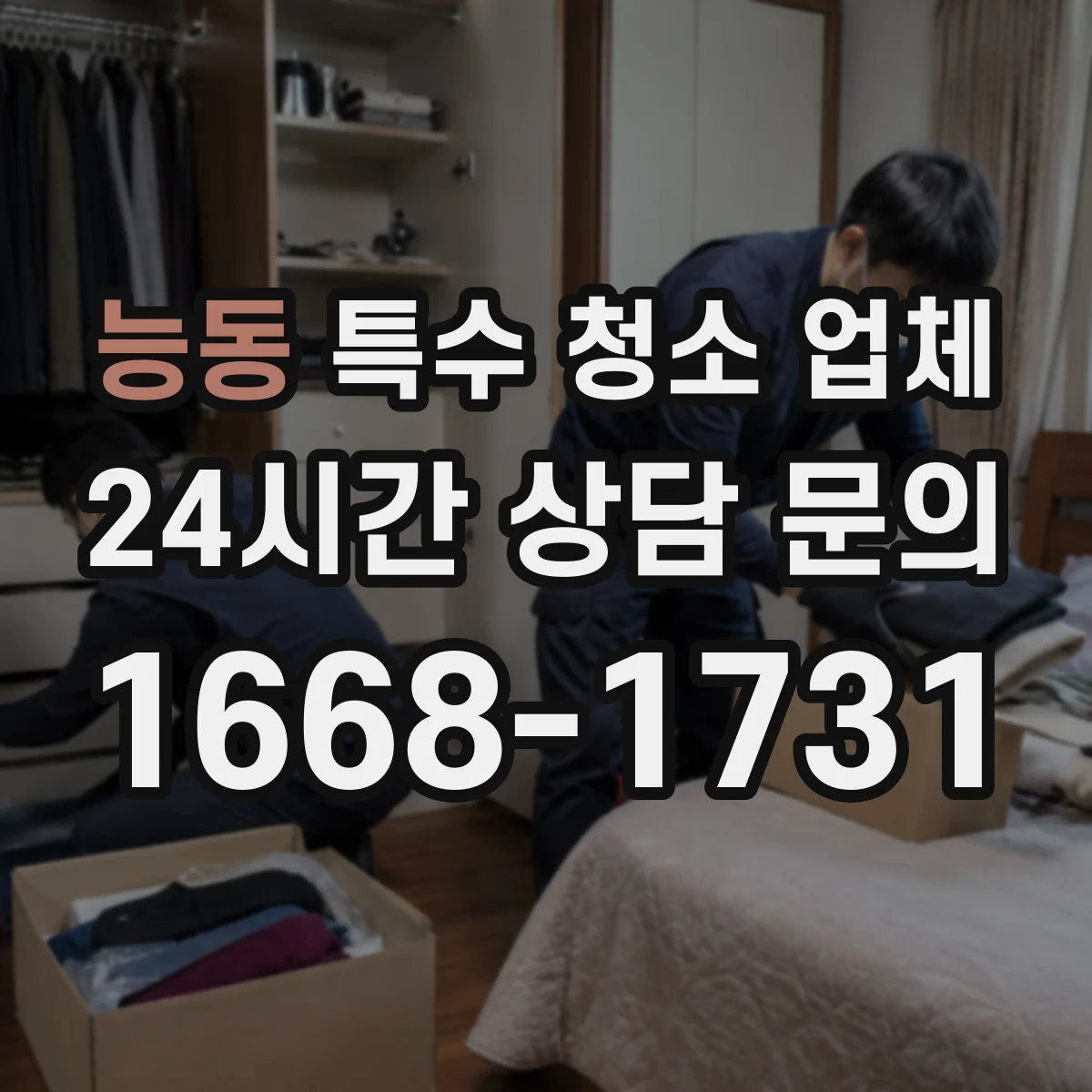 능동 특수 청소 업체