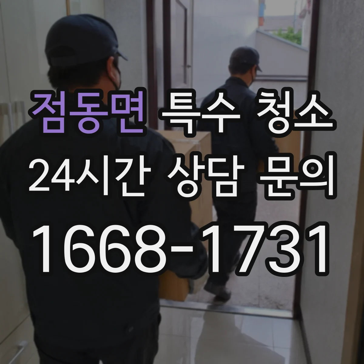 점동면 특수 청소