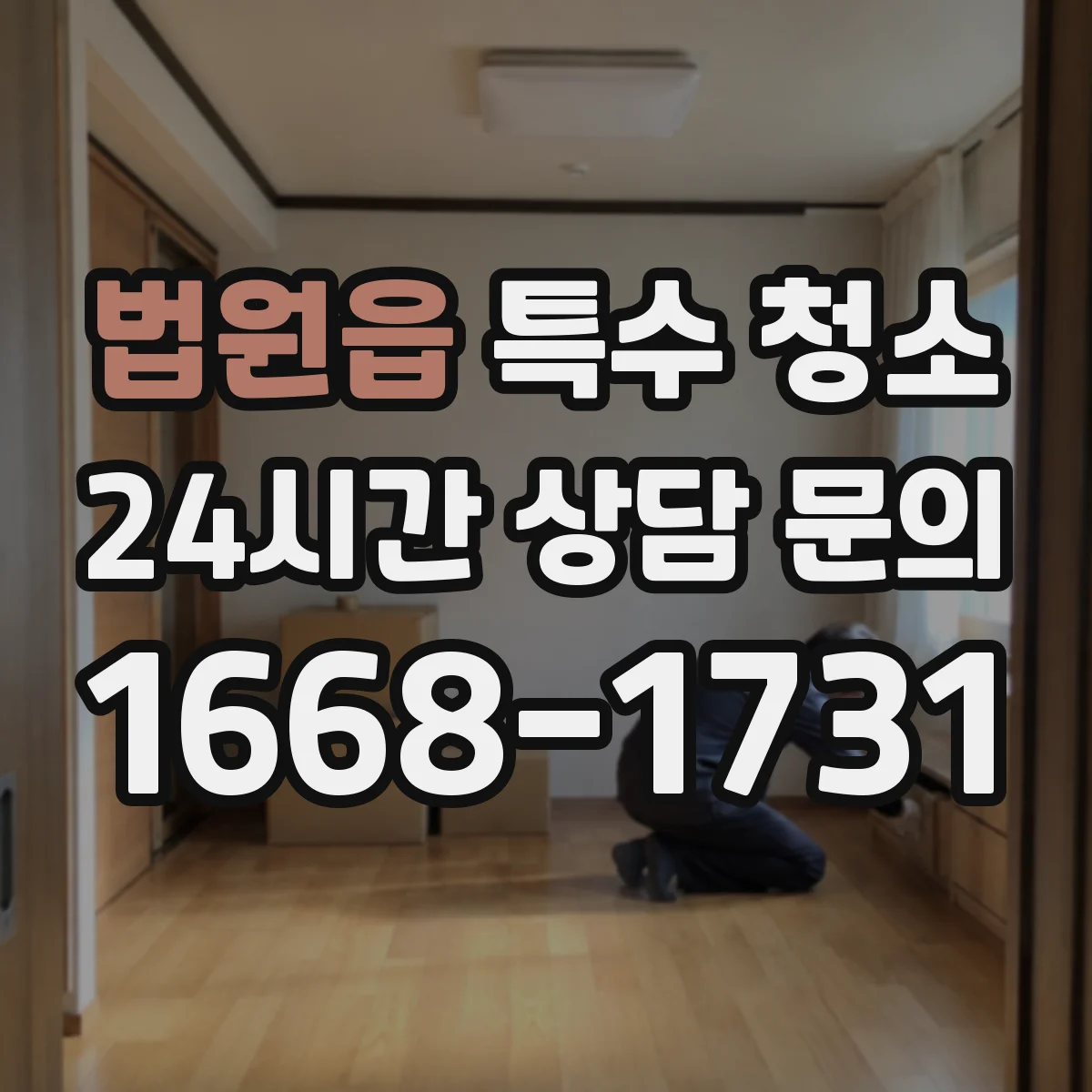 법원읍 특수 청소