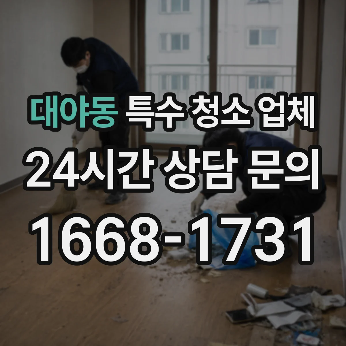 대야동 특수 청소 업체