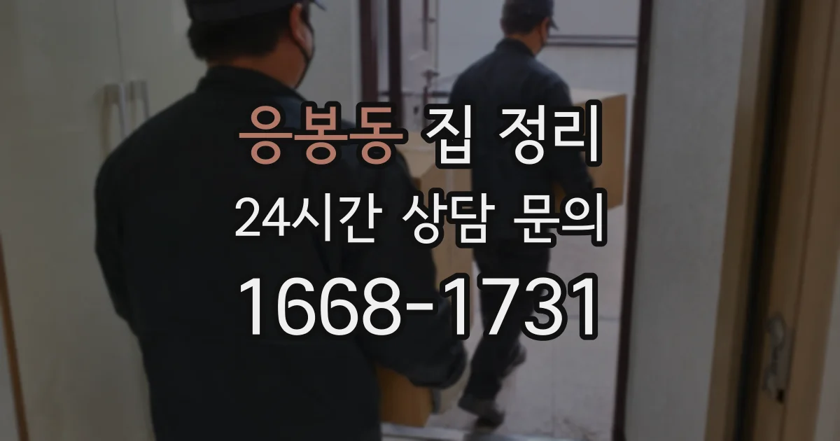 응봉동 집 정리
