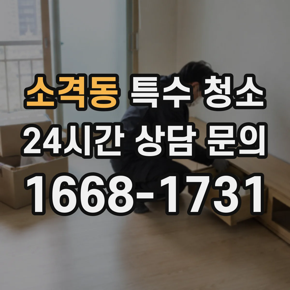 소격동 특수 청소
