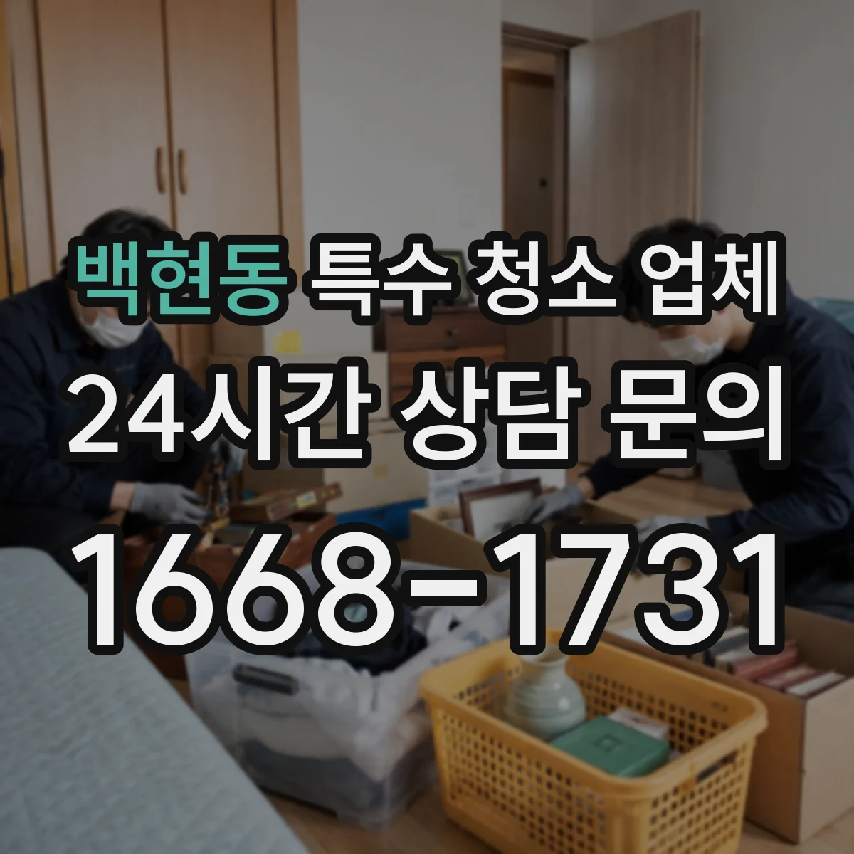 백현동 특수 청소 업체