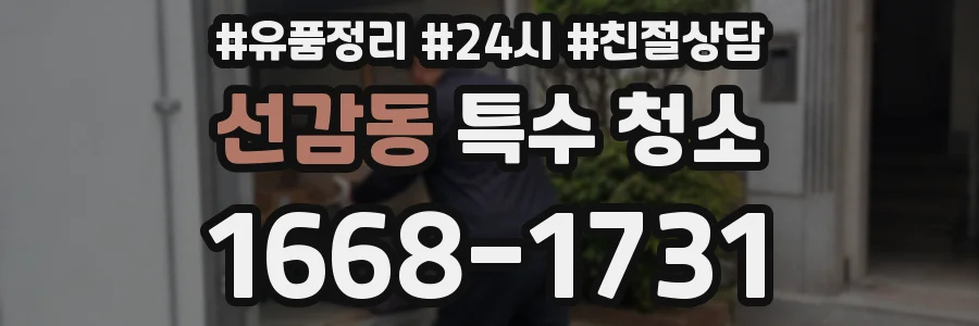선감동 특수 청소