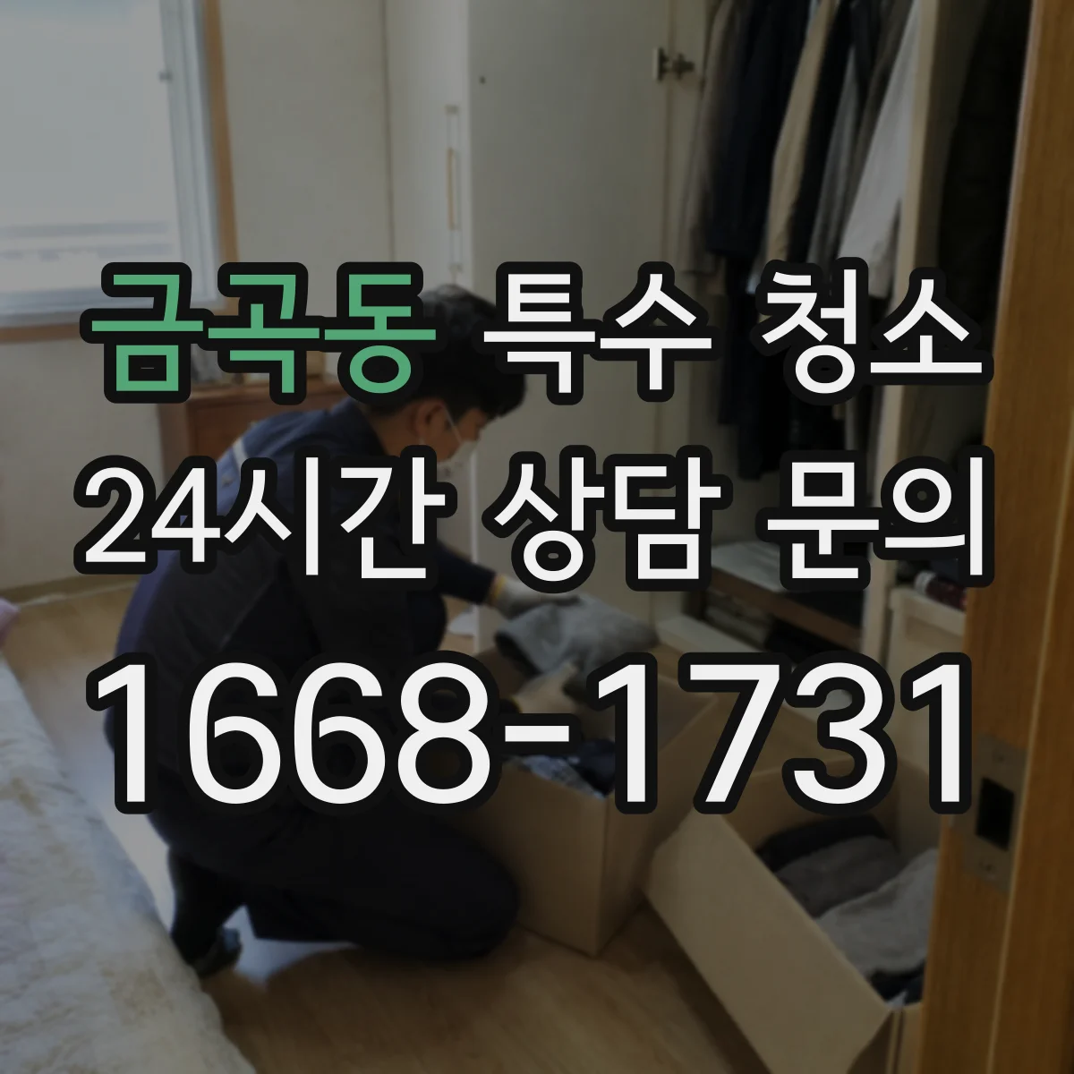 금곡동 특수 청소
