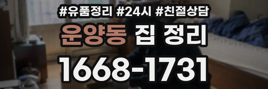운양동 집 정리