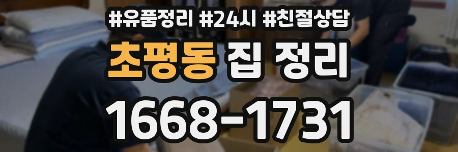 초평동 집 정리